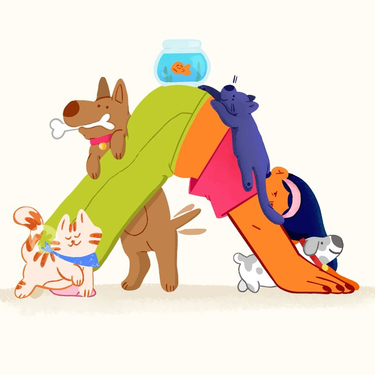 Illustration of pets playing on a colorful slide